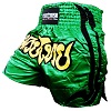 FIGHTERS - Muay Thai Shorts / Grün / XL