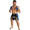 FIGHTERS - Thaibox Shorts / Elite Fighters / Schwarz-Blau