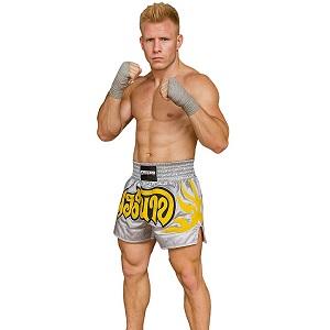 FIGHTERS - Muay Thai Shorts / Silber-Grau / XL